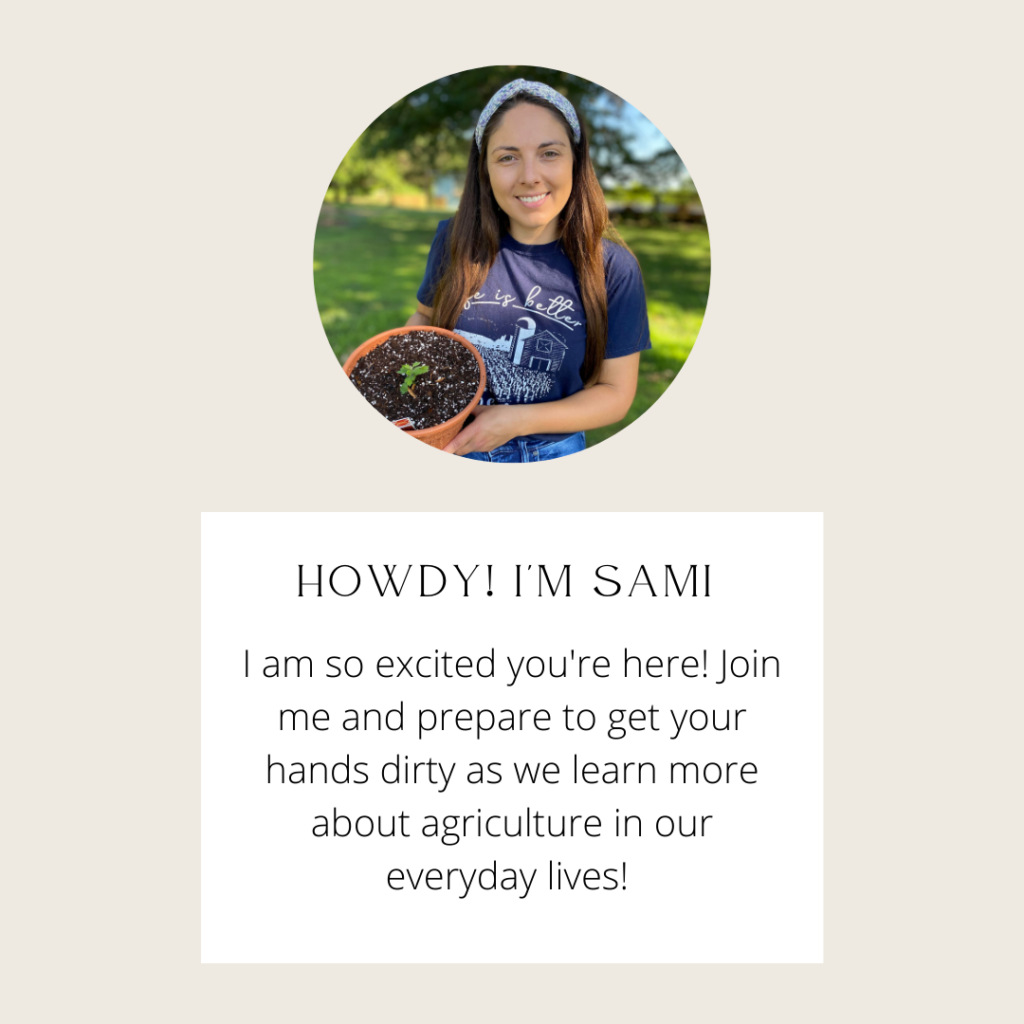 Howdy! I'm Sami