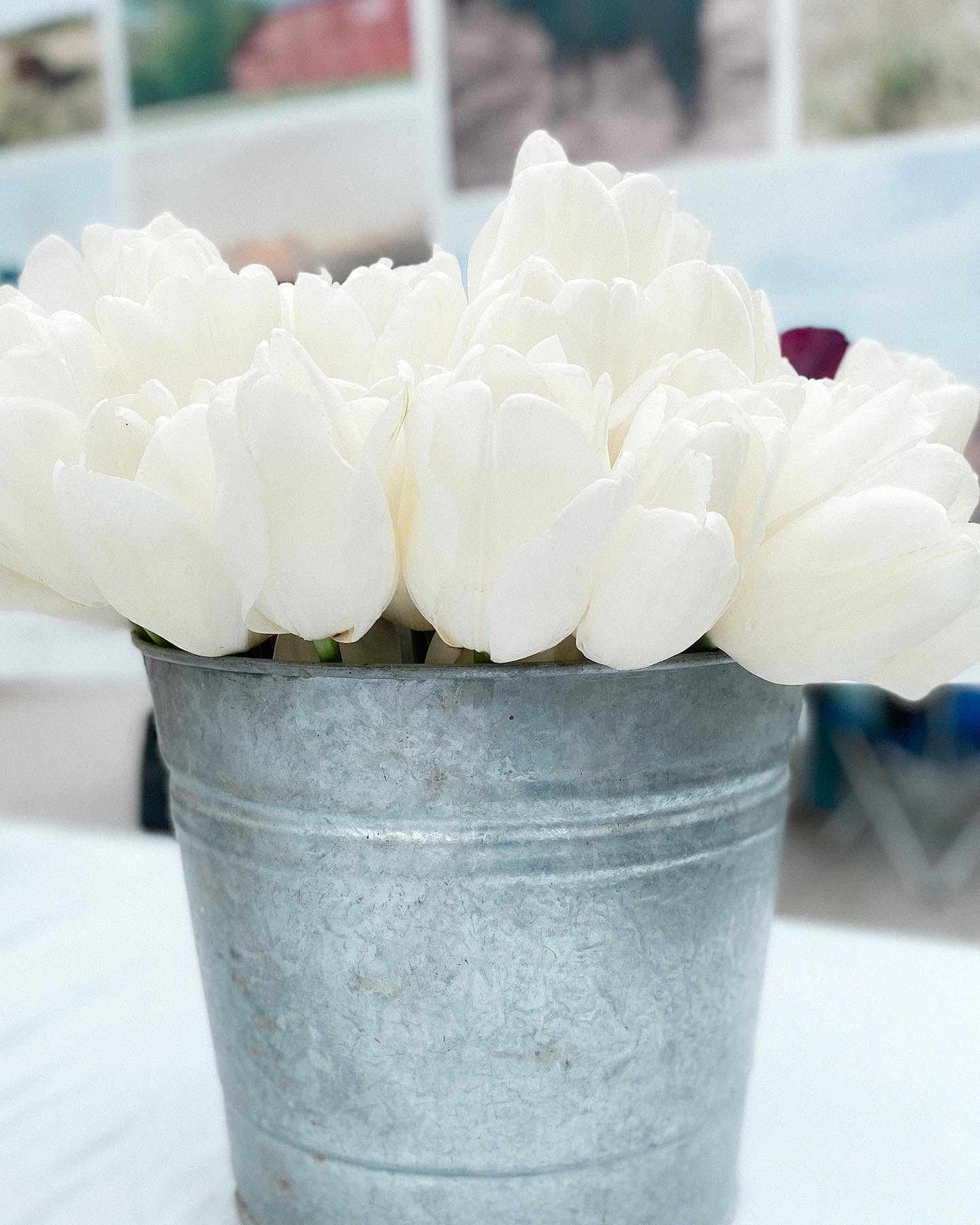 How to Plant Tulip Bulbs in Fall